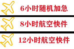 阿勒泰雪都空运代理快递公司,专业空运当天件